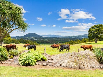 Pasture, Pool & Potential - Auction Day Decides
