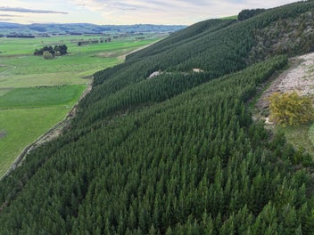 Image 1 of 10