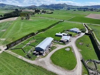 Buying Options in Waimumu | Homestead