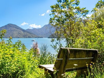 Shed, sun and space on Queen Charlotte Drive