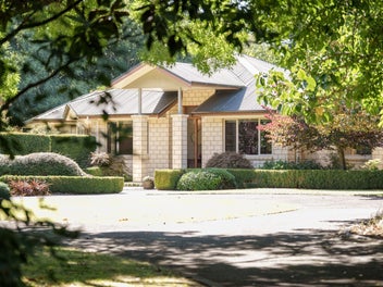 Plenty of Space, Plenty of Comfort, Plenty to Love