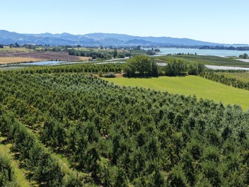 Sea Views, Orchard & Lifestyle Potential