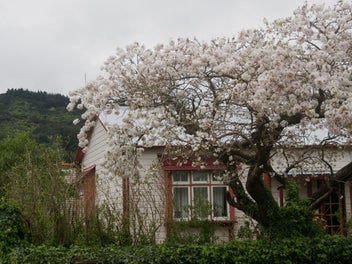 Lovingly restored character cottage
