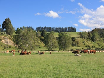 Image 1 of 25