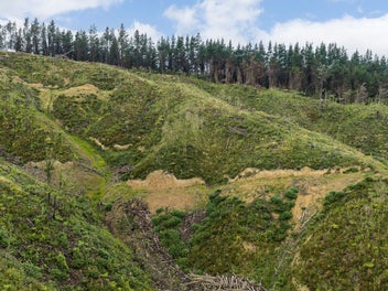 Something for Nothing