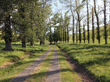 Lifestyle with Income and Off Grid Potential