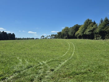 Open pasture and big views