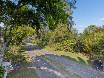 Meadows Magic - Huge Section, Room to Grow!