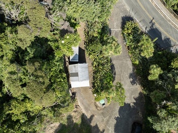 Rugged Piha Bush Hideaway