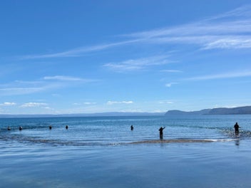 Image 1 of 24