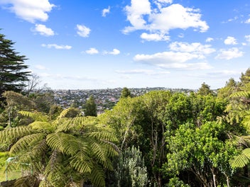 Bonus Spaces & Bush Outlook