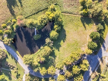 An Autumnal Stunner!