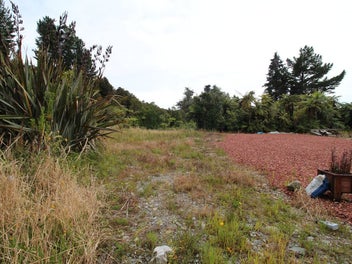 Lifestyle Section in Ross