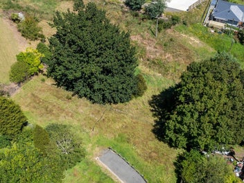 Large section, no covenants, must be sold!