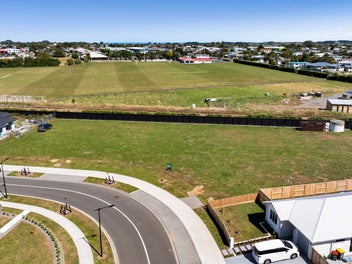 Section Among Quality Builds