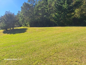 Image 1 of 19