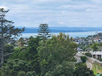 Sun-Filled Spacious Family Living