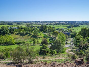 Unbelievable Lifestyle Block - One of the Best