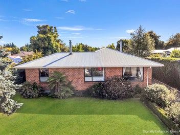 The Backyard You Dream Of