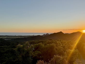 SOUL THING - A Sovereign Ridge Sanctuary