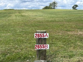 Town Boundary Lifestyle Section