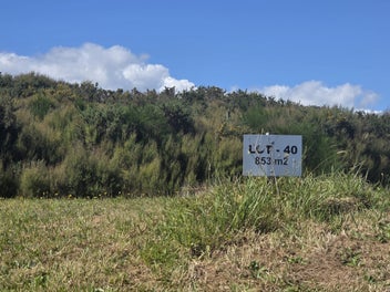 Prime Elevated Section - Racecourse Terrace