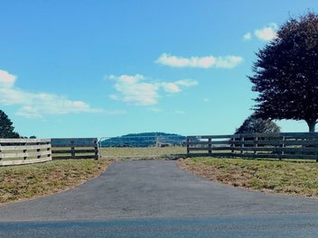 Quality lifestyle living in Waerenga