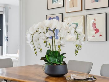 Space & Style - Ticks Every Box