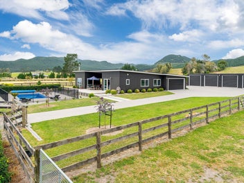 Plenty Of Horsing Around At This Lifestyle Spot