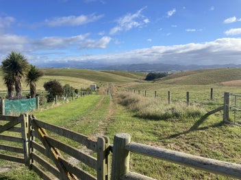 Prime grazing and lifestyle block with views