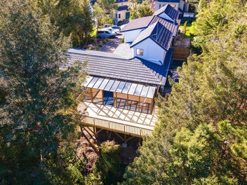 Immaculate Bush Outlook Living