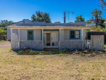 Little Honey on Manuka