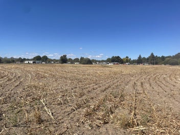 From Paddock to Potential