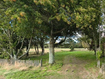 Image 1 of 1
