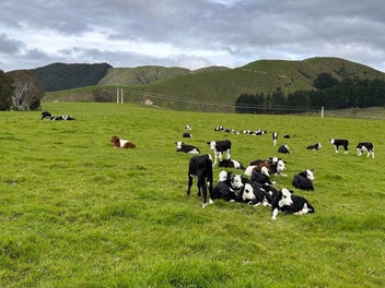 Views for miles - 22 ha of opportunity