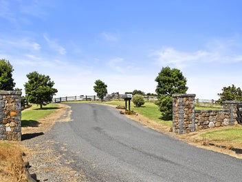 Pollok Lifestyle Starter