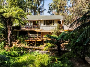 Take a Look… Then Take It In.