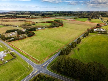 Fertile Blank Canvas