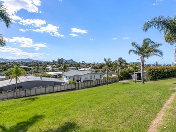 Surplus Sunny Section Up for Auction!