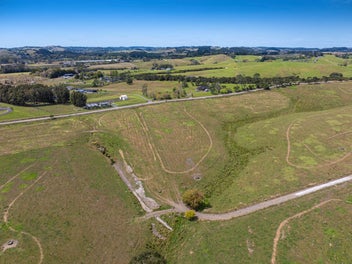 Where Dreams Take Root