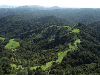 Image 1 of 25
