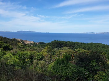 Image 1 of 13