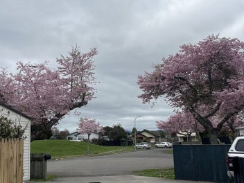 Owhata Section Bursting Potential