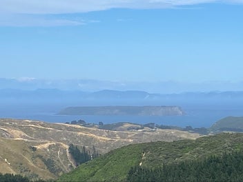 Image 1 of 10