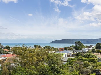 Step Onto the Ladder – With a View!