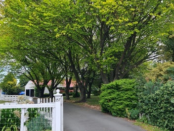 Image 1 of 23