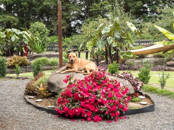 Private Lifestyle Haven With Character & Charm