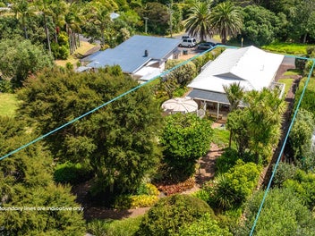 Immaculate Island Gem