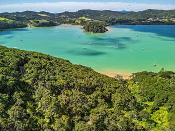 Where the Kiwi Calls & the Ocean Meets the Bush
