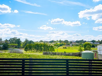 Kids run wild, dogs run loose